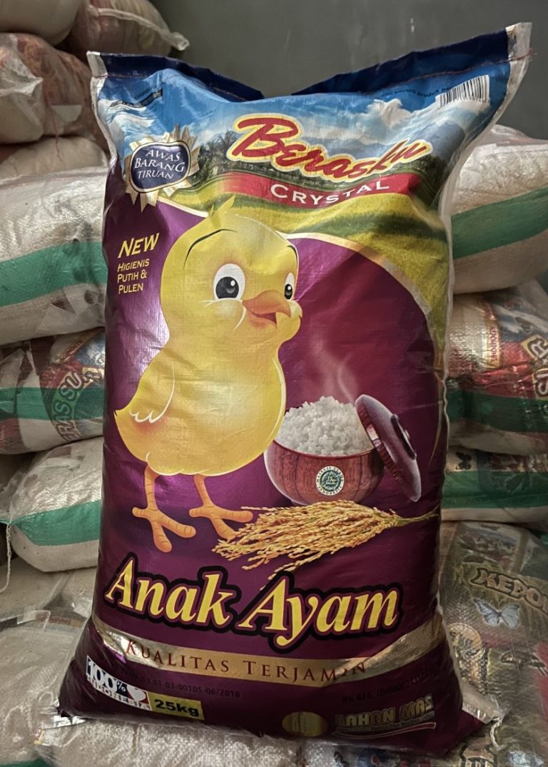 Anak Ayam